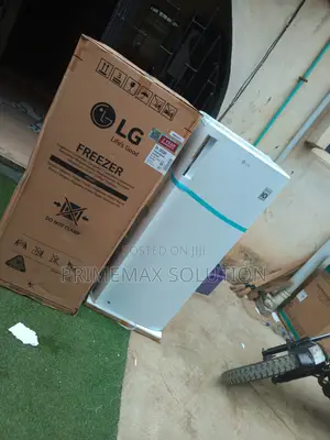 Compact Yet Spacious: Lg Gn-304sqbr 168l Standing Freezer