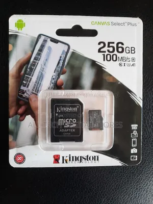 Kingston Technology 256gb Memory Card With Adapter