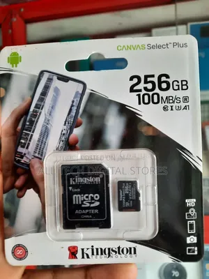 Kingston Technology 256gb Memory Card With Adapter