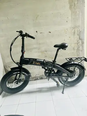 GBS E-Bike Foldable Bike