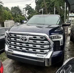 Toyota Tundra 1794 2021 Blue