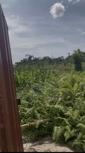 1 Plot of Land