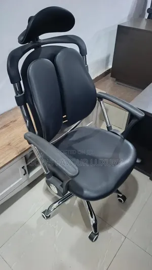 Ergonomic Orthopedic Kidney Office Chair.