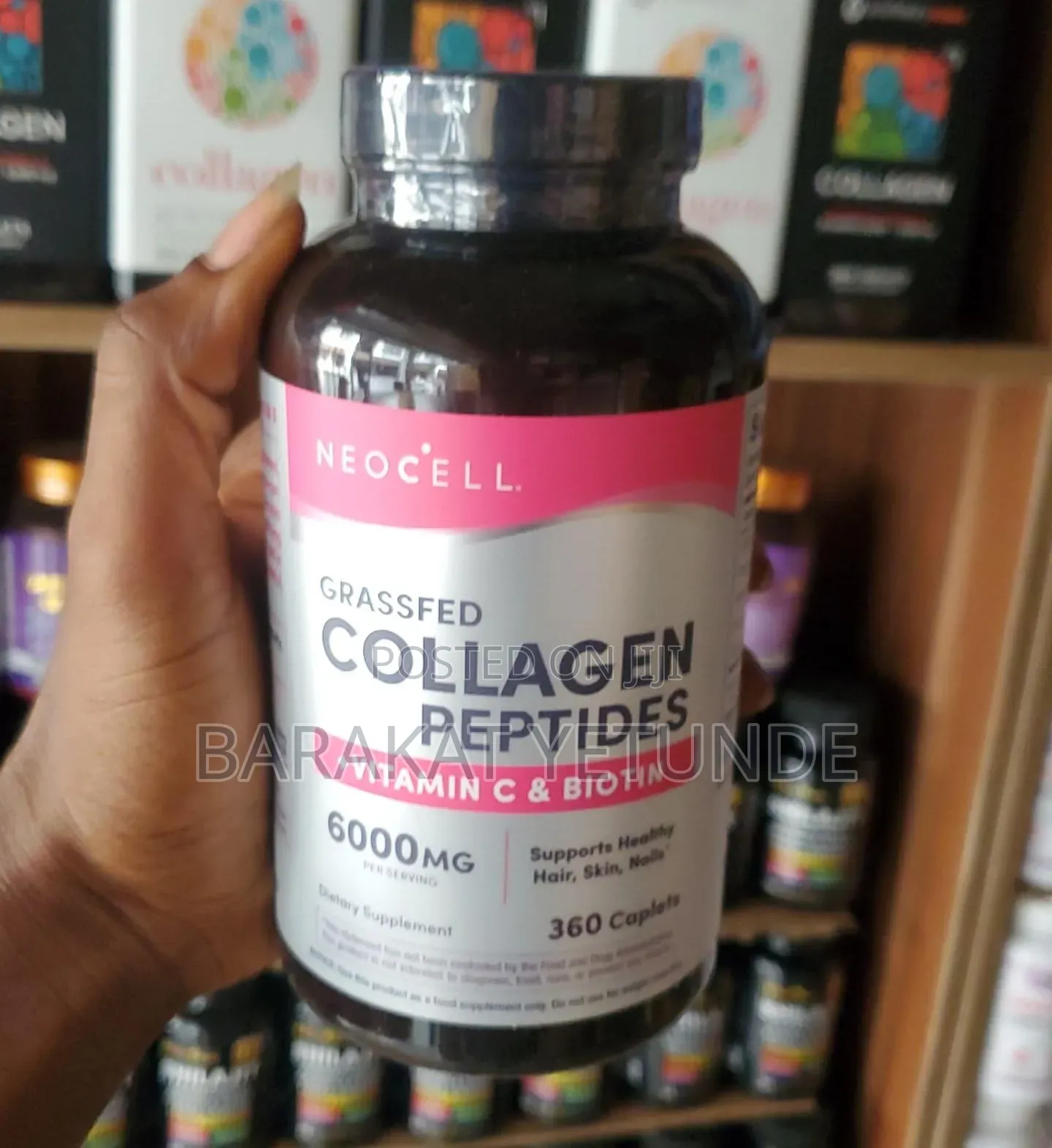 Supplement