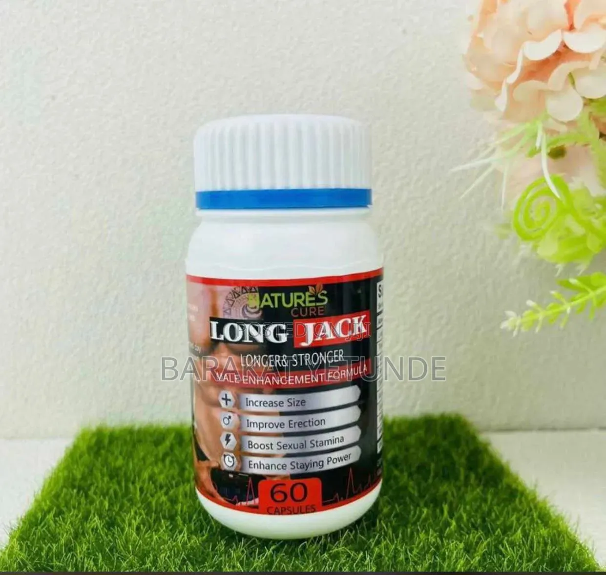 Supplement