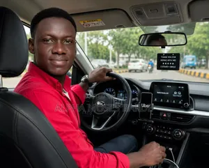 Professional Driver
