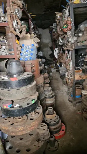 Flange And Fittings