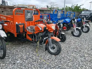 Royal Motorcycle 2013 Blue