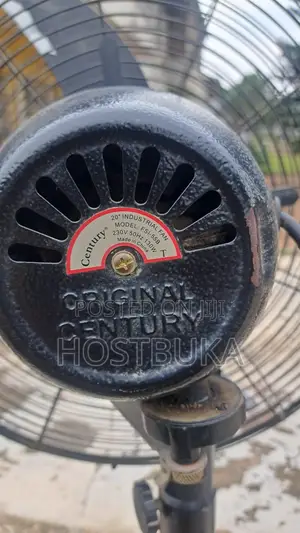 Standing Fan