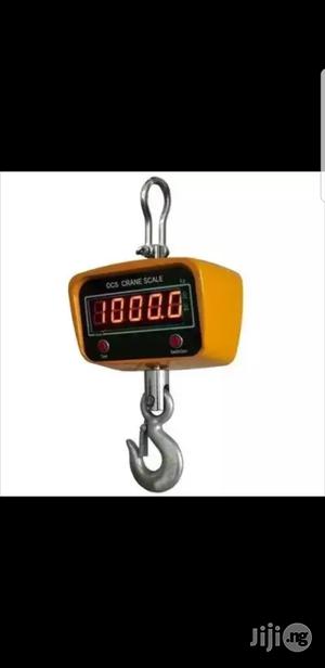1 Ton Crane Digital Scale