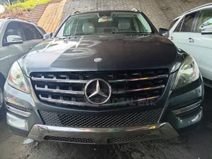 Mercedes-Benz M Class 2015 Gray
