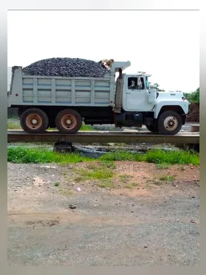 Ezillo Black Chippings