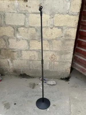 Professional Iron Round Base Microphone Stand (Black)