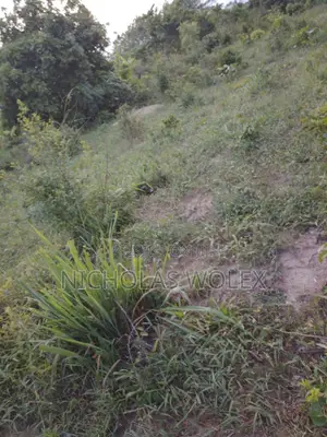 7 Acres of Farm Land for Sale