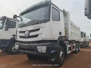 Foton Teuck