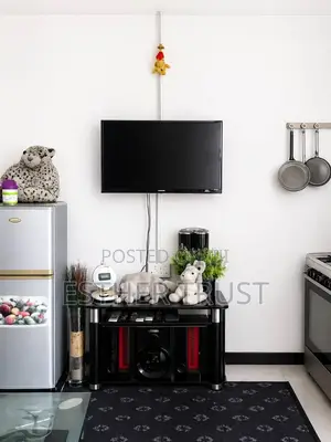 Sony Television