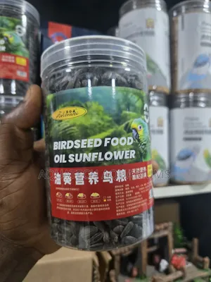 Sunflower Oil Seed Food for Parrot