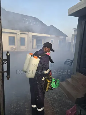 Professional Cleaning