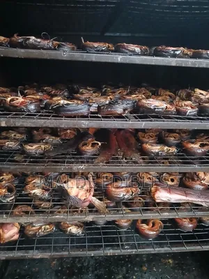 Oven Dried Catfish