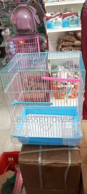 Beautiful Cages for Bird