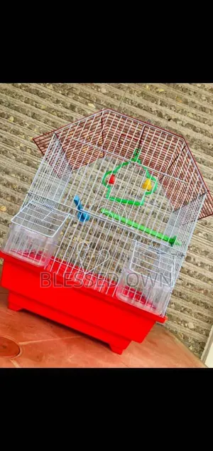 Lovebirds and Parakeet Cage