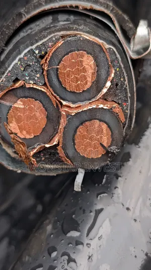 Xlpe Armored Cable