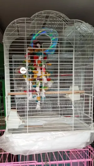 Fancy Foreign Parrots Cage Are Available