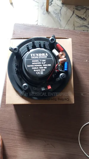 Black Ceiling Speaker