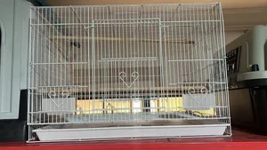 African Grey Parrots and Other Birds Cage