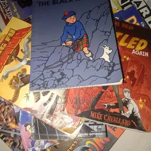 Premium 13-Book Comics(graphic Novels)/ Manga Collector’S Bundle