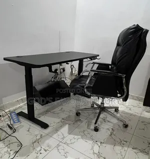 Home/Office Sit-Stand Gaming Desk and Ergonomic Design Chair(Electric)