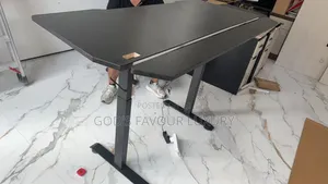 High Quality Standing Gaming Desk (Dual Motor)