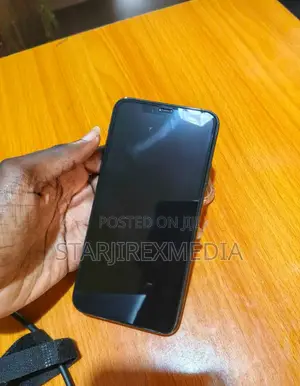 Apple iPhone 11 Pro Max 256 GB Gray