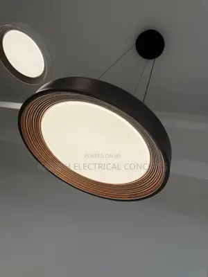 Modern Minimalism Black Round Led Ceiling Lights Lighting Bedroom