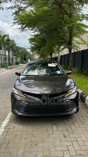 Toyota Camry XLE FWD (2.5L 4cyl 8AM) 2018 Brown