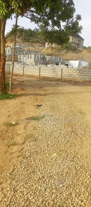 Strategically Located 6000sqm Commercial Land in Katampe for Lease