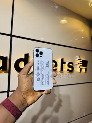 Apple iPhone 12 Pro Max 256 GB White