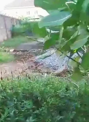 A Half Plot in a Mini Estate at New Oko Oba