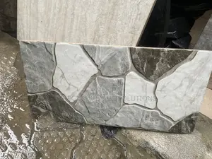 Outside Wall Tile High Quality 25 by 50 Crack Wall