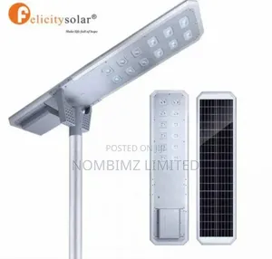 Felicity D2-80w All-in-One Solar Street Light