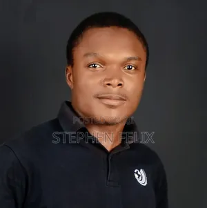 It Consultant