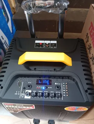Temeisheng 12 Inches Public Address System