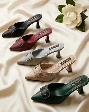 Gorgeous Slip on Pointees