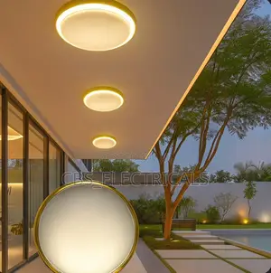 Ceiling Fittings Led