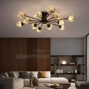 Quality Led By12 Glass Chandelier Ceiling Flush Light
