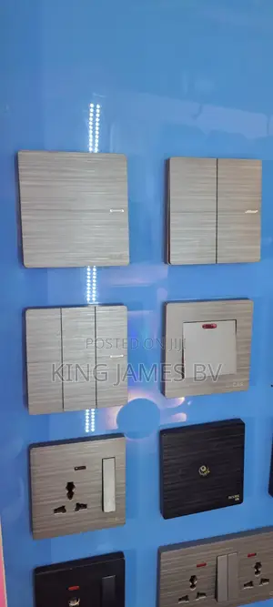 Gray Switches and Socket