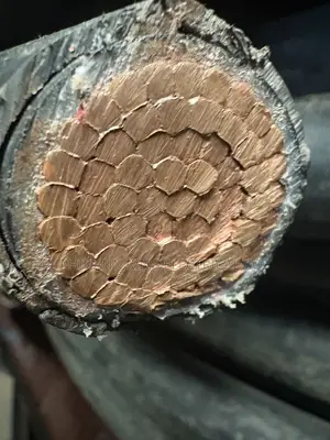 Coleman Electrical Cable 500mm Single Pvc