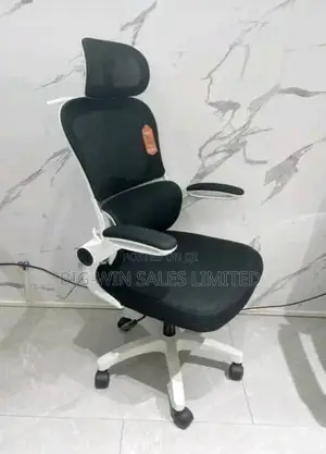 Executive Office Chair