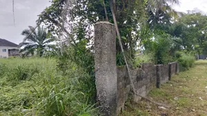 For Sale : Cofo Fenced 13 Plots of Land at Rumudomaya, Ph