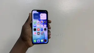 Apple iPhone 13 Pro 256 GB Gray
